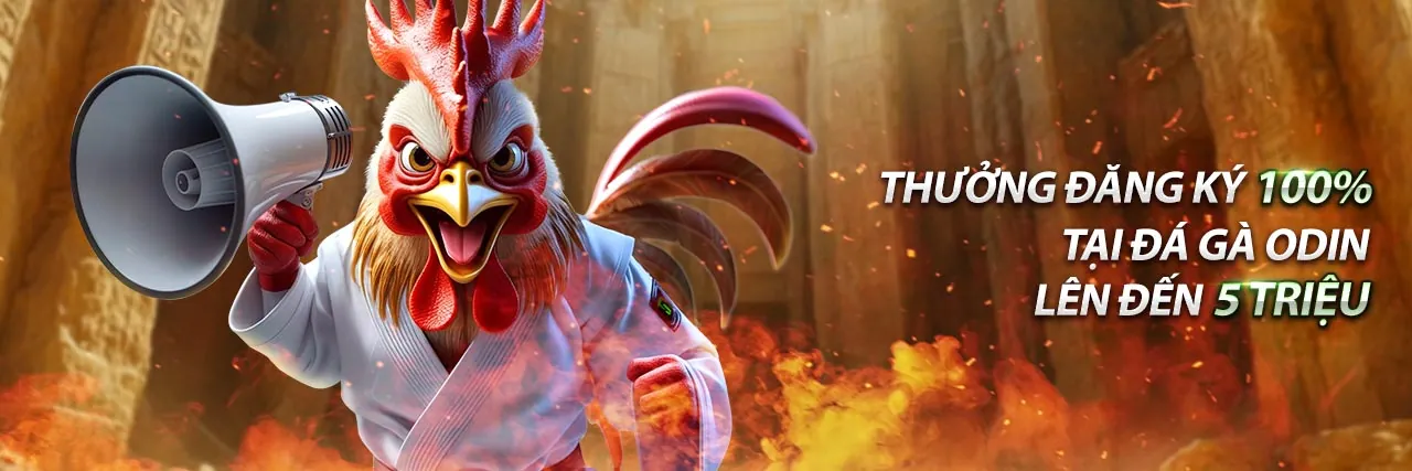 Sòng bạc trực tuyến và đá gà trực tiếp hôm nay